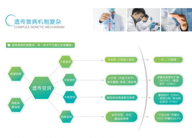 贝瑞基因全外显子检测 贝瑞和康检测结果查询 千万不要做基因检测 第8页 大山谷图库